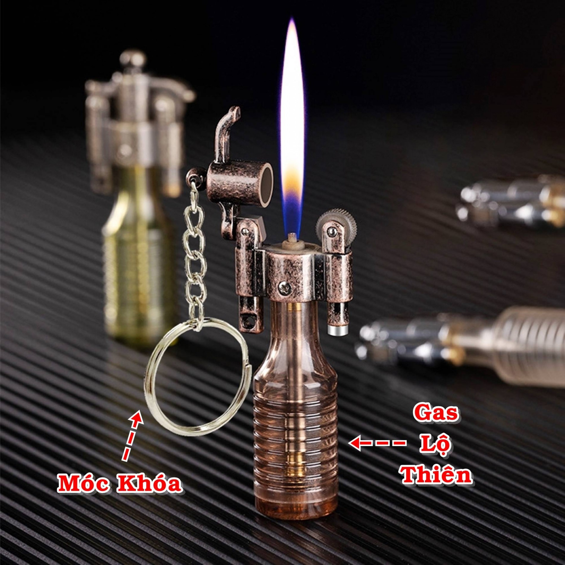 dolphin_gas_lo_thien_2