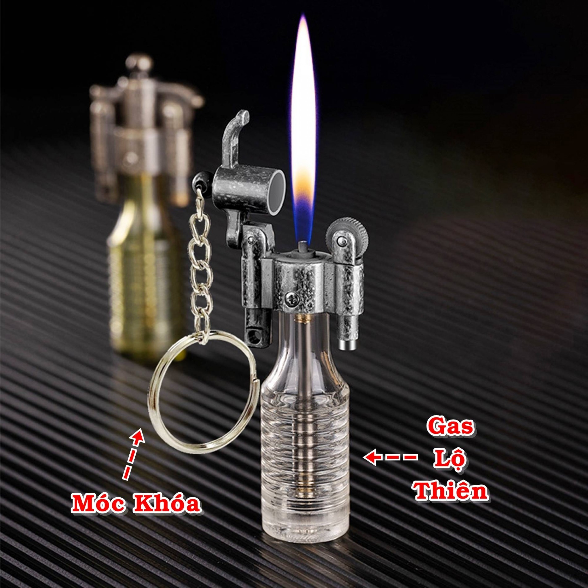 dolphin_gas_lo_thien_3
