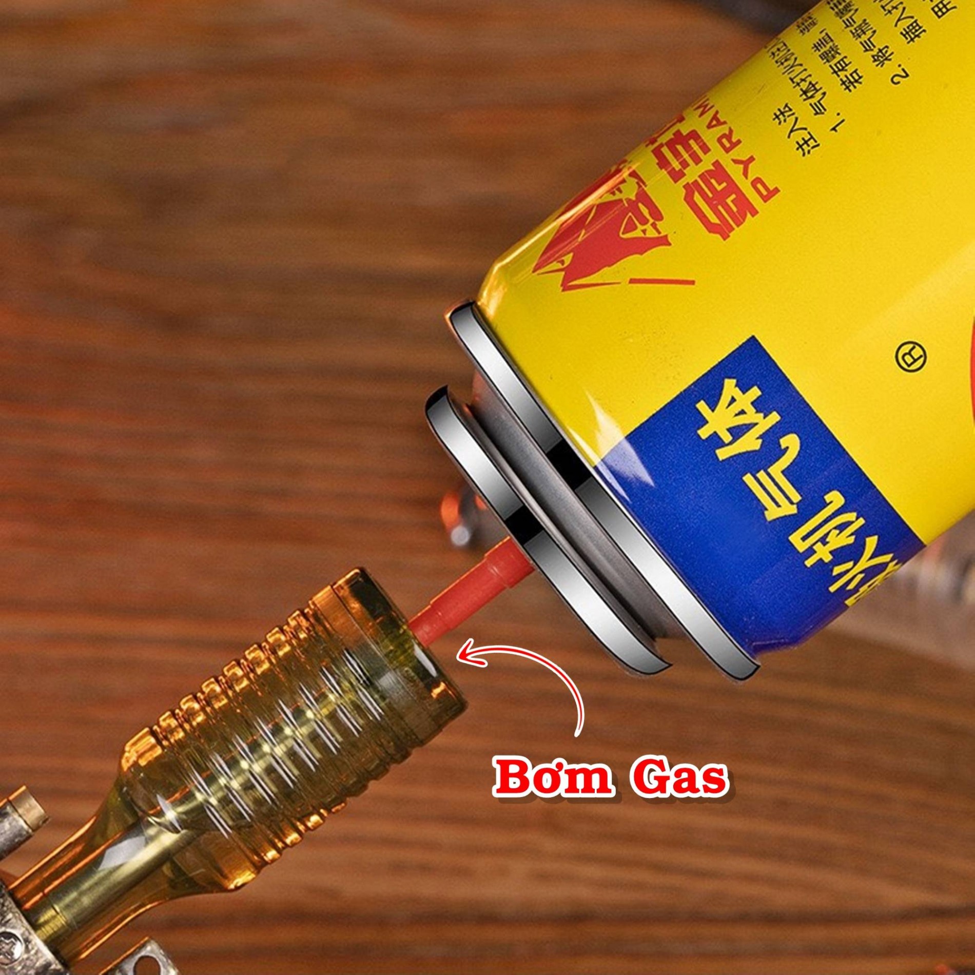 dolphin_gas_lo_thien_4