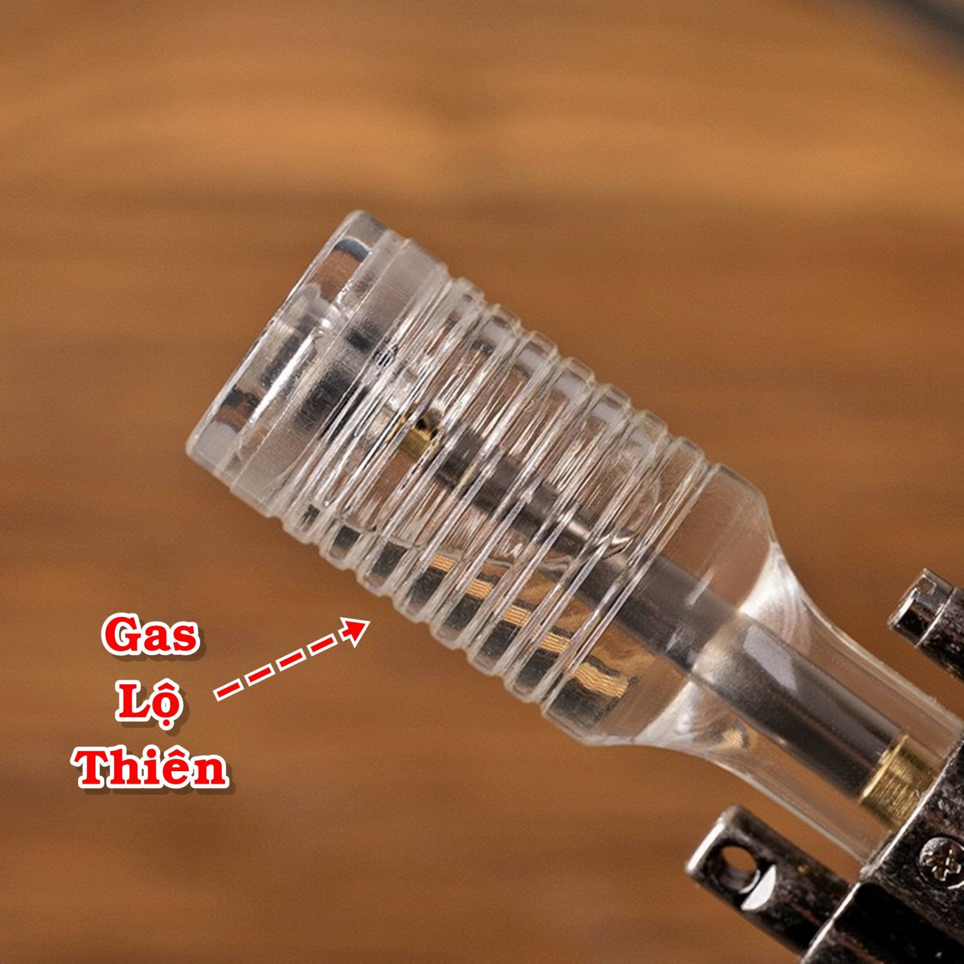 dolphin_gas_lo_thien_6
